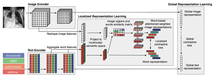 GLoRIA: A Multimodal Global-Local Representation Learning Framework for Label-Efficient Medical Image Recognition